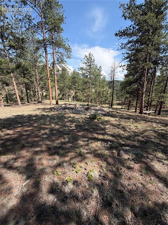 39 Rabbil Creek Trail Florissant CO 80816