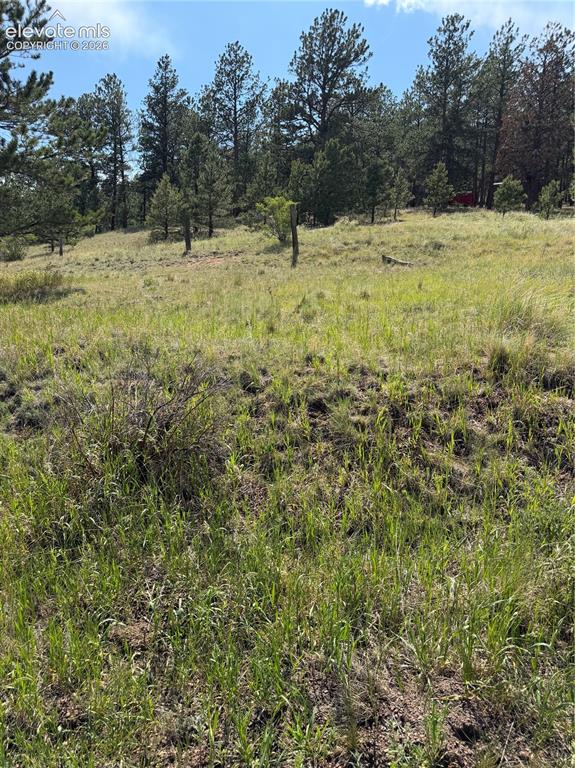 39 Rabbil Creek Trail Florissant CO 80816