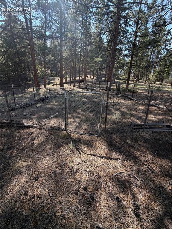 39 Rabbil Creek Trail Florissant CO 80816