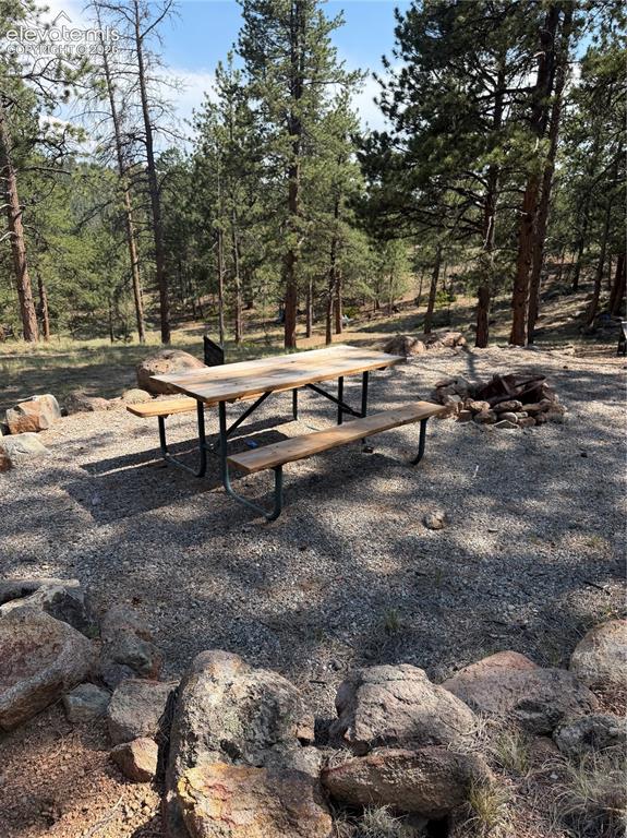 39 Rabbil Creek Trail Florissant CO 80816