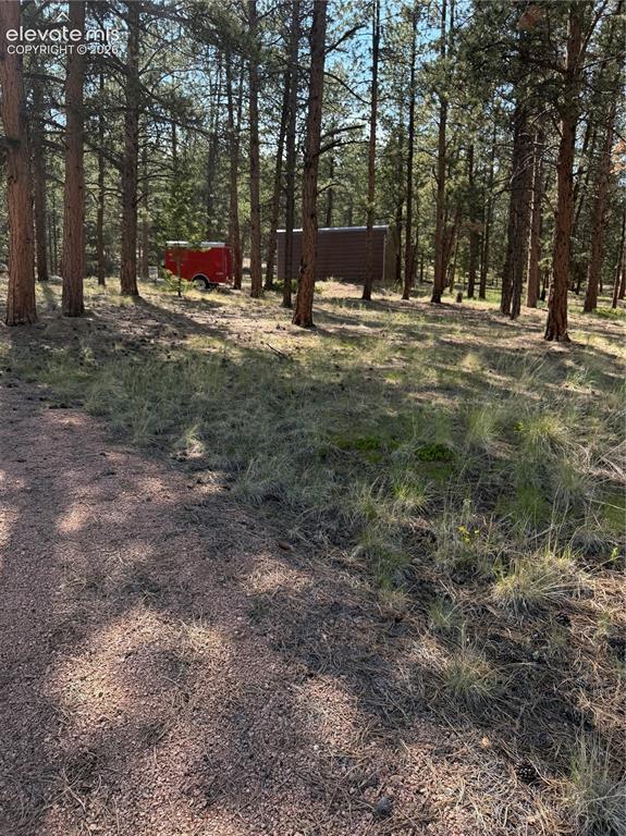 39 Rabbil Creek Trail Florissant CO 80816