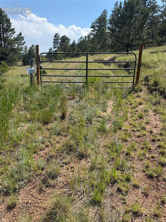 39 Rabbil Creek Trail Florissant CO 80816