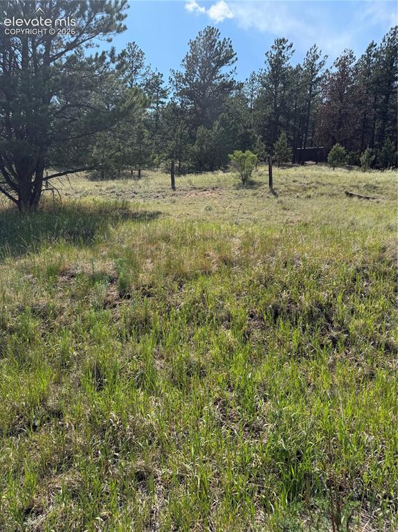 39 Rabbil Creek Trail Florissant CO 80816