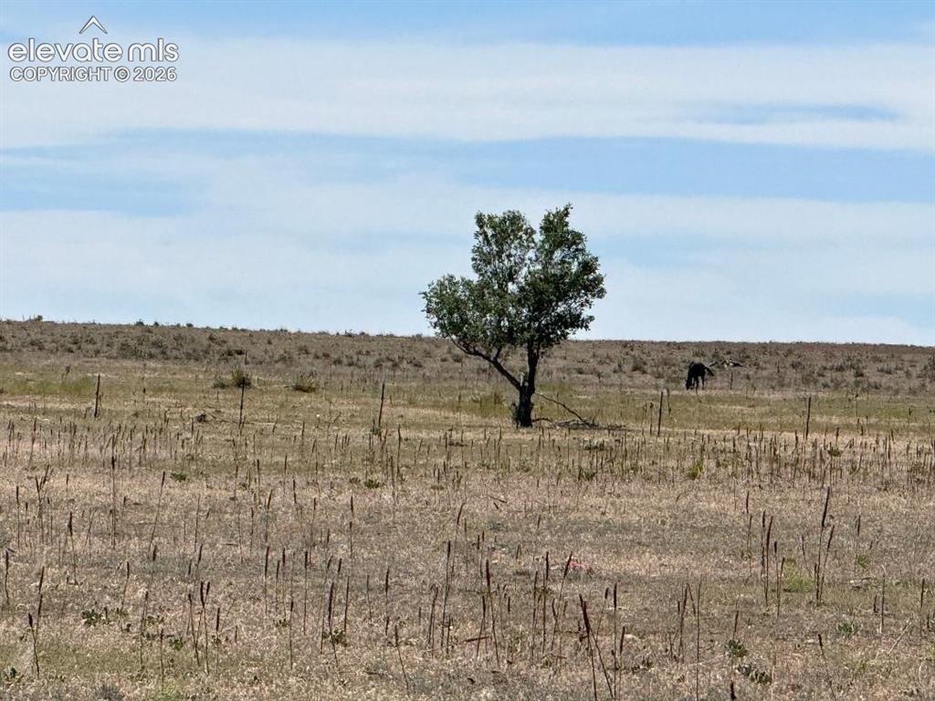 40495 Hoot Owl Road Ramah CO 80832