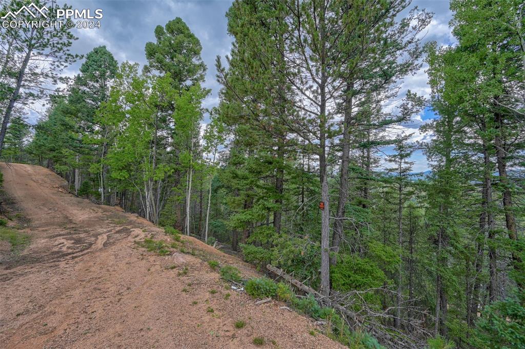 251 Osoeola Road Woodland Park CO 80863