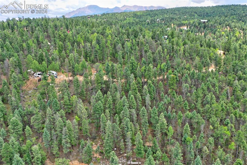 251 Osoeola Road Woodland Park CO 80863