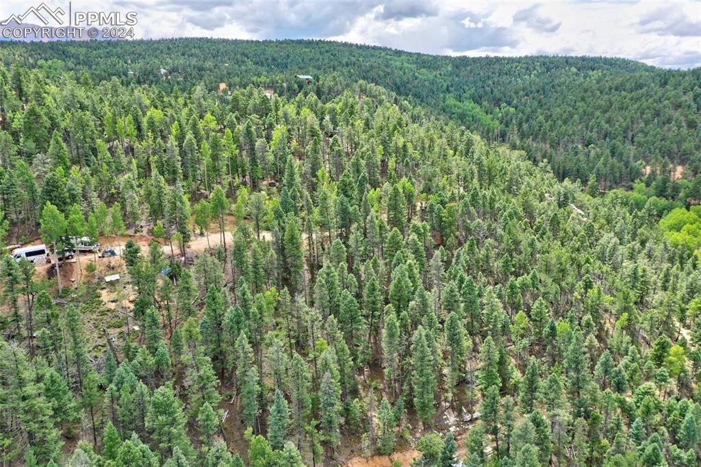 251 Osoeola Road Woodland Park CO 80863