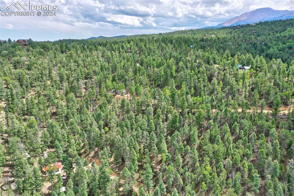 251 Osoeola Road Woodland Park CO 80863