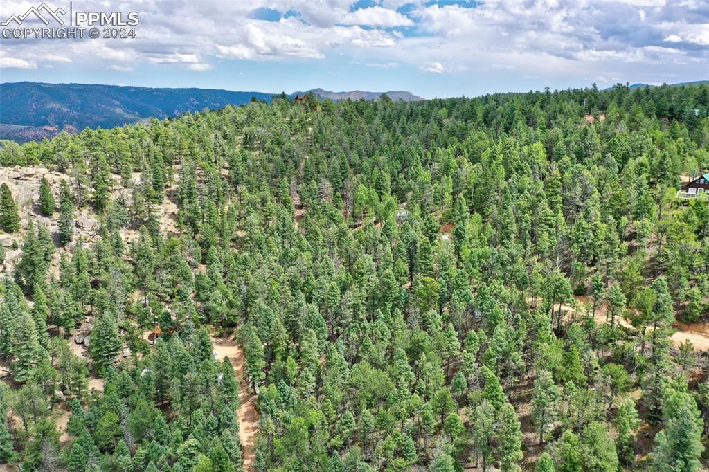 251 Osoeola Road Woodland Park CO 80863