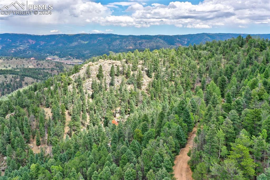 251 Osoeola Road Woodland Park CO 80863