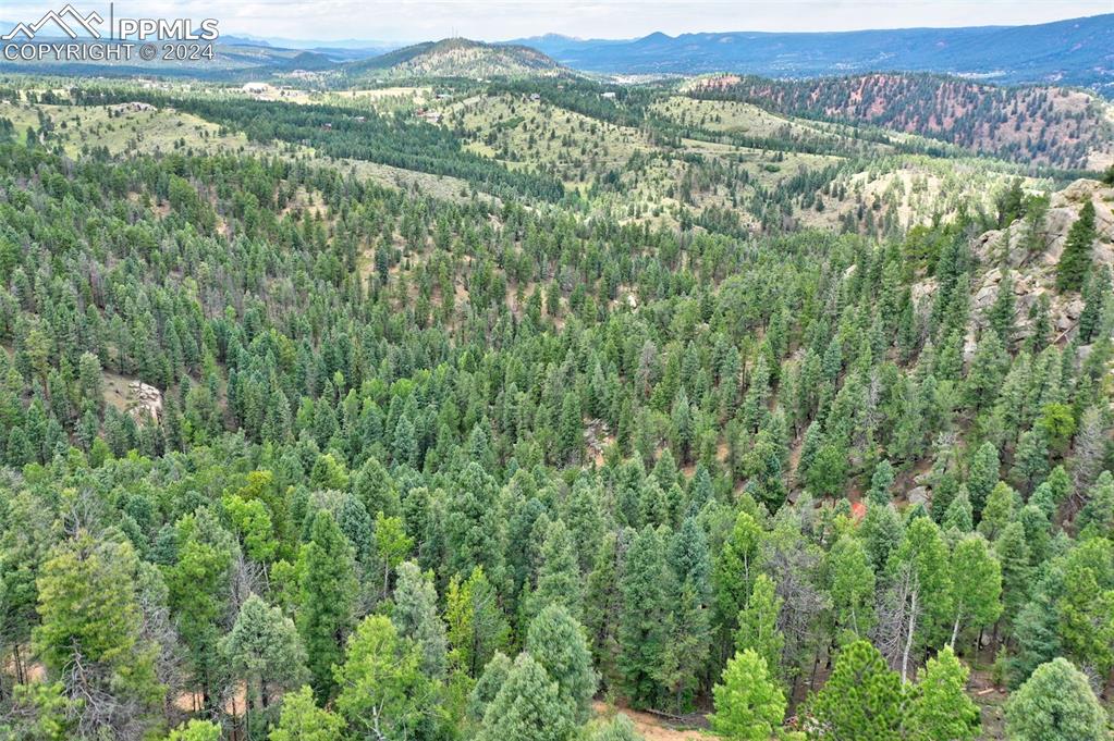 251 Osoeola Road Woodland Park CO 80863