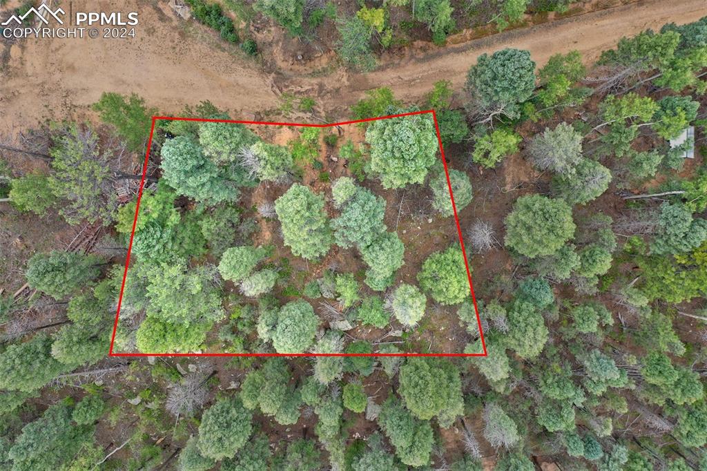 251 Osoeola Road Woodland Park CO 80863