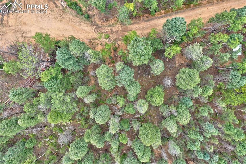 251 Osoeola Road Woodland Park CO 80863