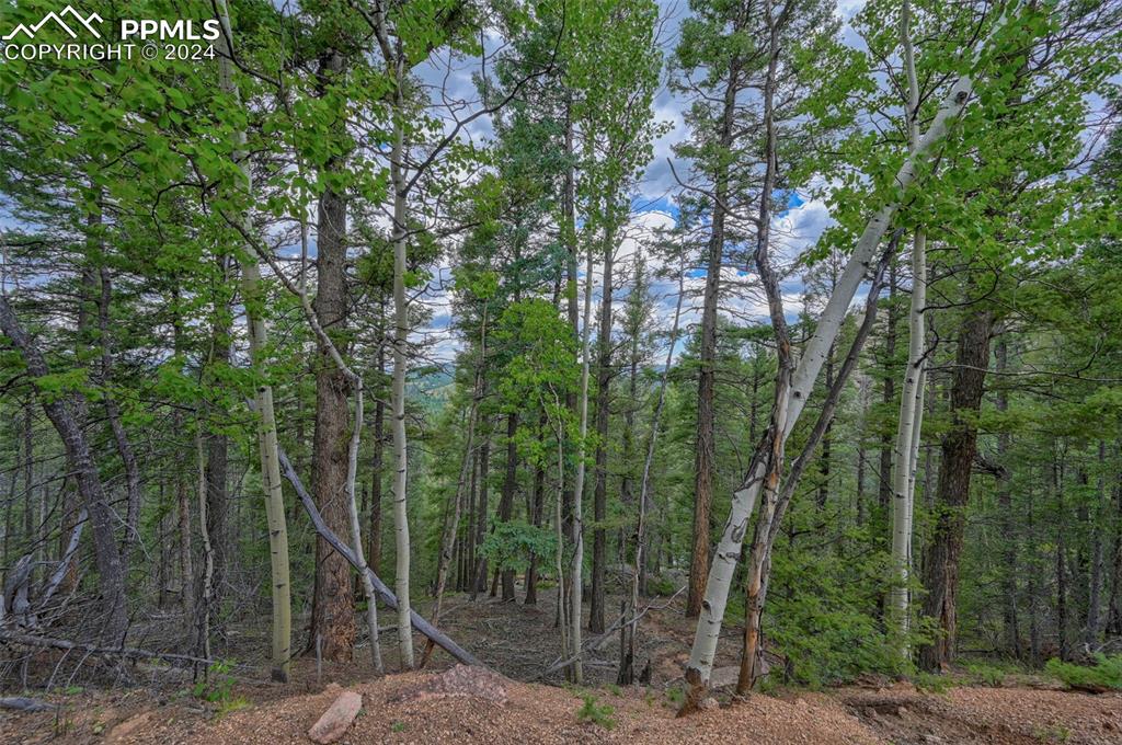 251 Osoeola Road Woodland Park CO 80863