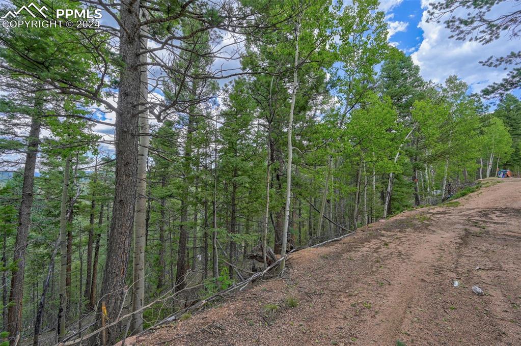 251 Osoeola Road Woodland Park CO 80863