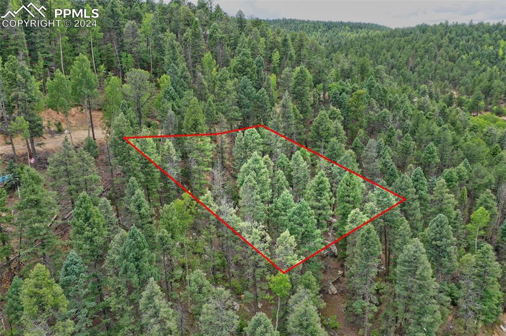 251 Osoeola Road Woodland Park CO 80863