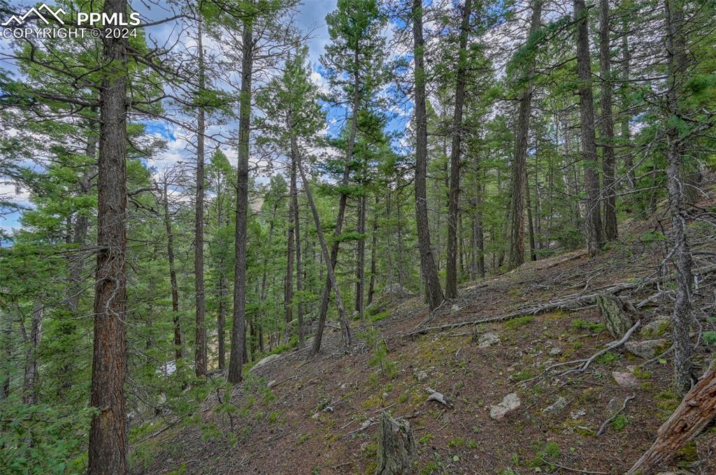 251 Osoeola Road Woodland Park CO 80863
