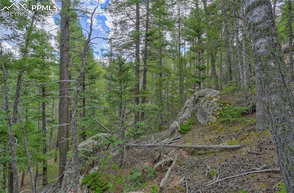 251 Osoeola Road Woodland Park CO 80863