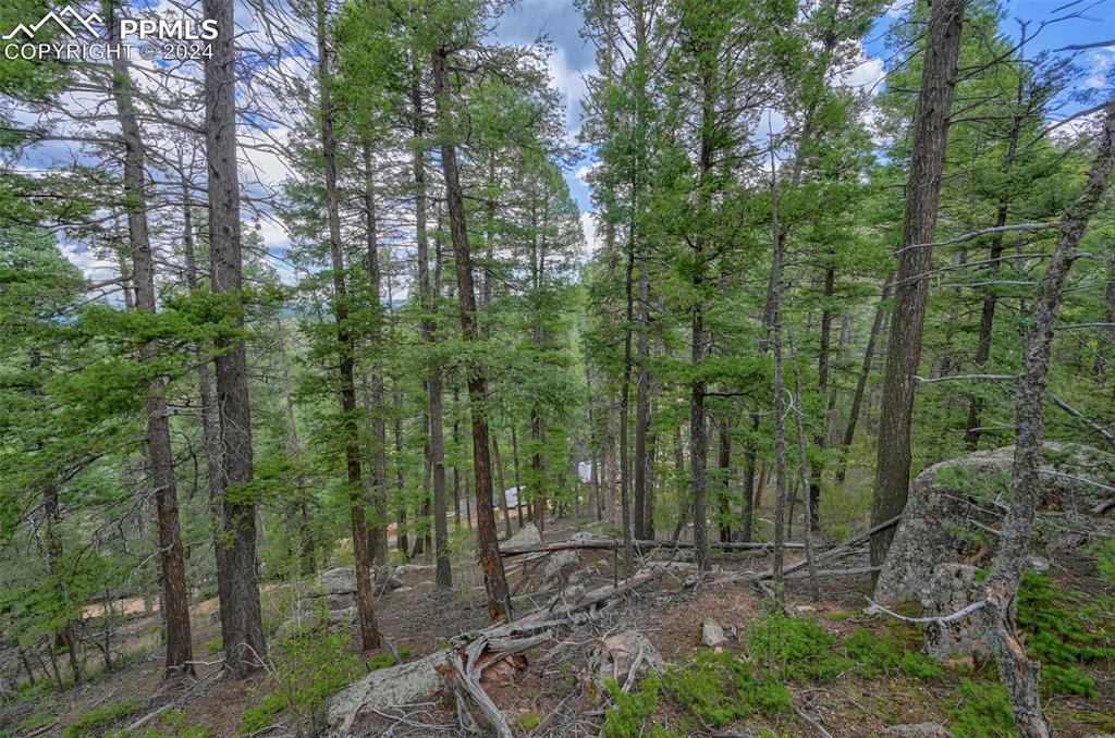 251 Osoeola Road Woodland Park CO 80863