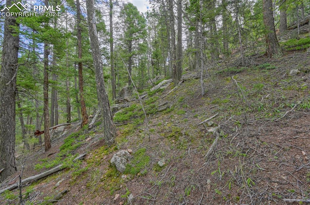 251 Osoeola Road Woodland Park CO 80863