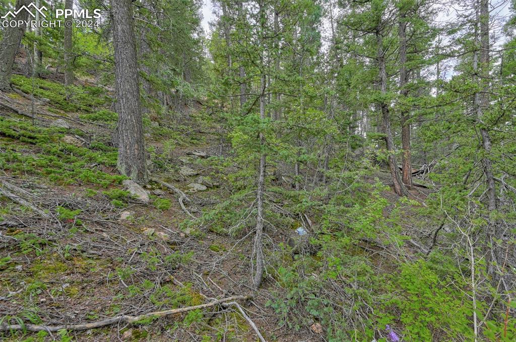 251 Osoeola Road Woodland Park CO 80863