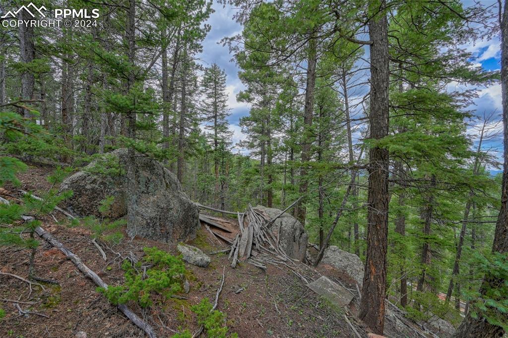 251 Osoeola Road Woodland Park CO 80863
