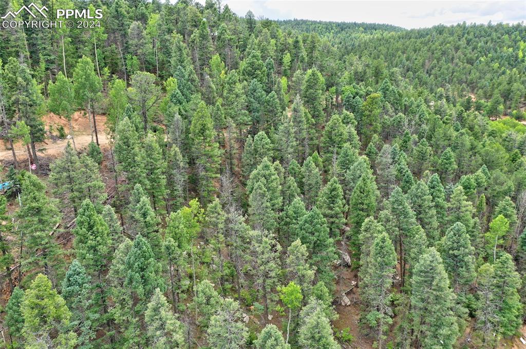 251 Osoeola Road Woodland Park CO 80863