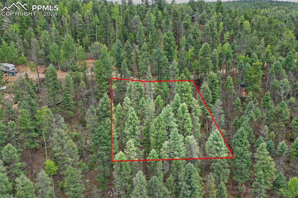 251 Osoeola Road Woodland Park CO 80863
