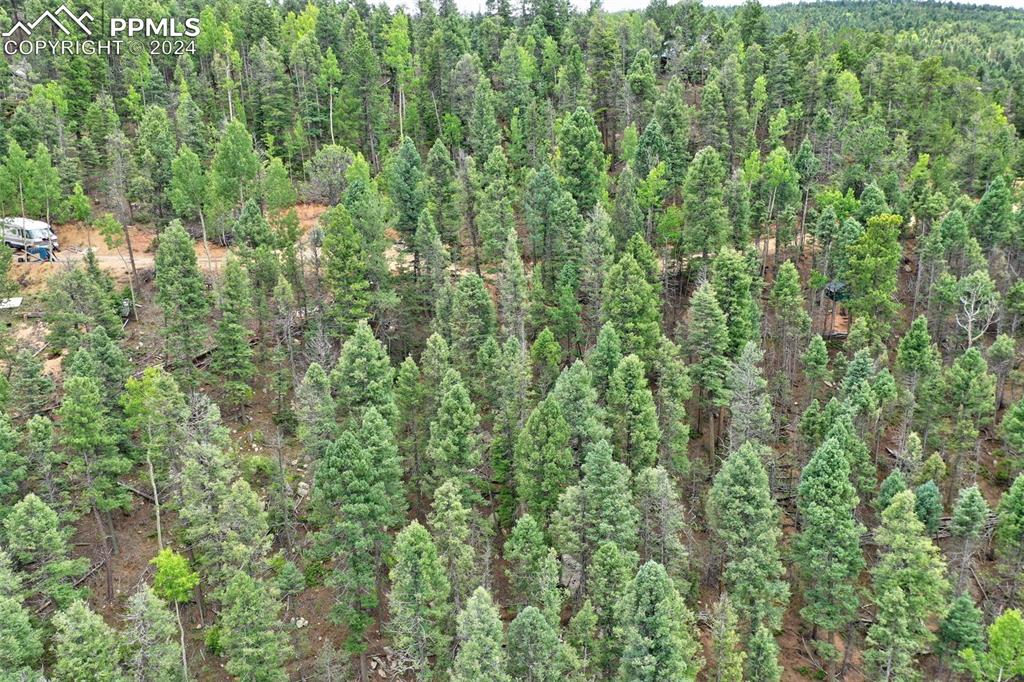 251 Osoeola Road Woodland Park CO 80863