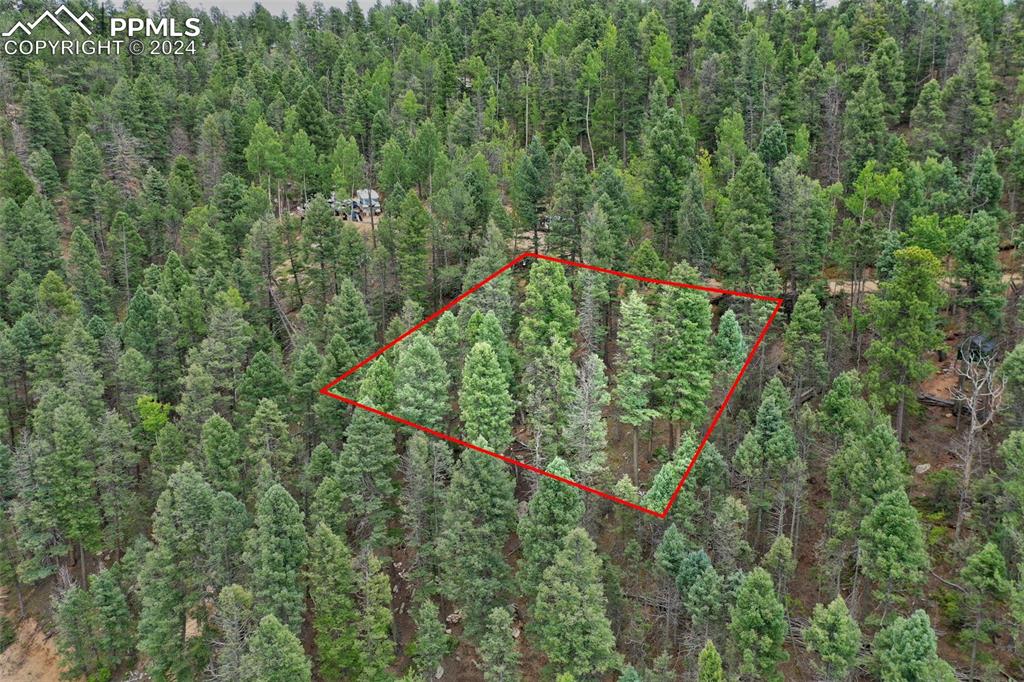251 Osoeola Road Woodland Park CO 80863