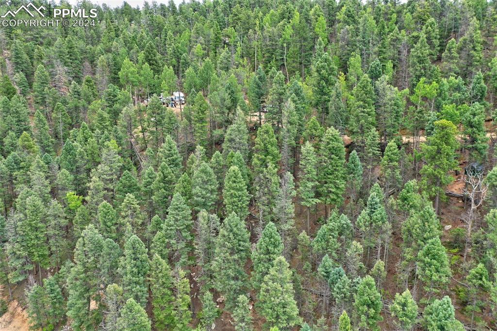 251 Osoeola Road Woodland Park CO 80863