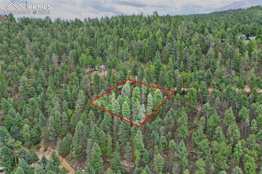 251 Osoeola Road Woodland Park CO 80863