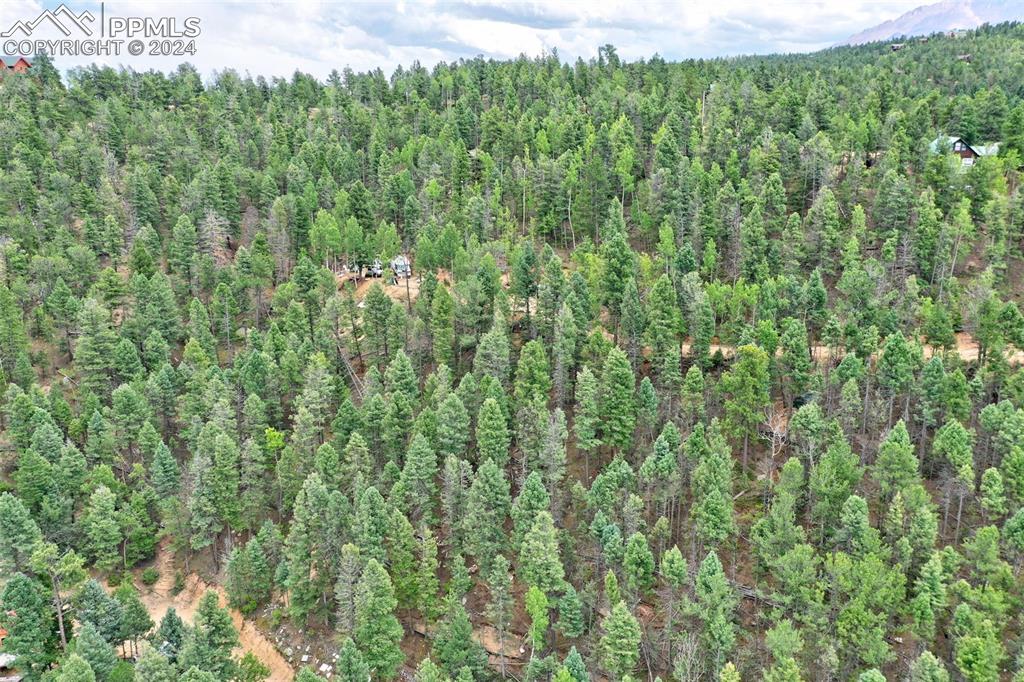 251 Osoeola Road Woodland Park CO 80863