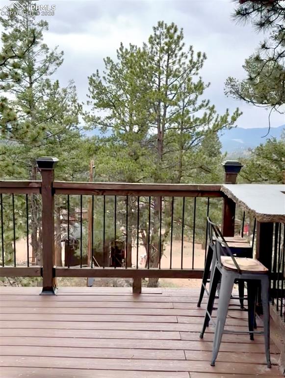 1176 Trail Creek Road Lake George CO 80827