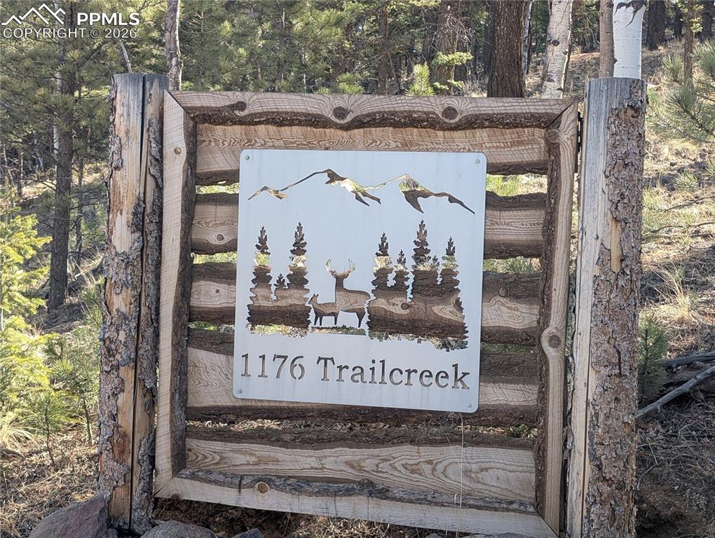 1176 Trail Creek Road Lake George CO 80827