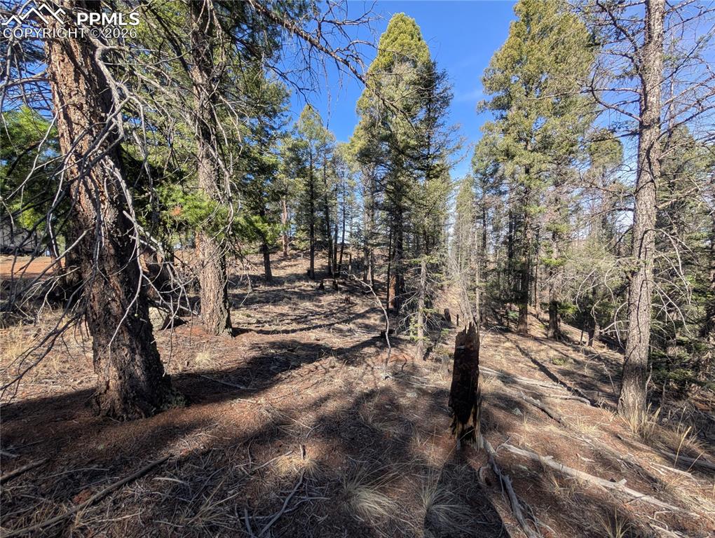 1176 Trail Creek Road Lake George CO 80827
