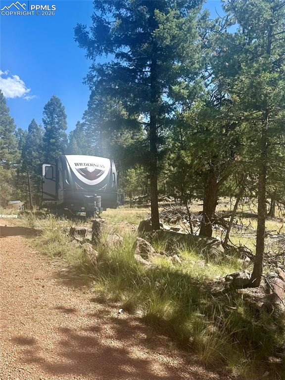1176 Trail Creek Road Lake George CO 80827