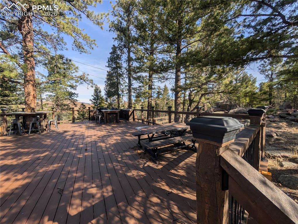 1176 Trail Creek Road Lake George CO 80827
