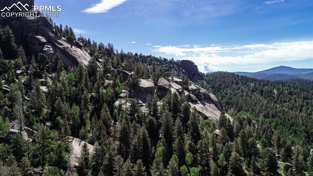 235 Hay Creek Road Florissant CO 80816