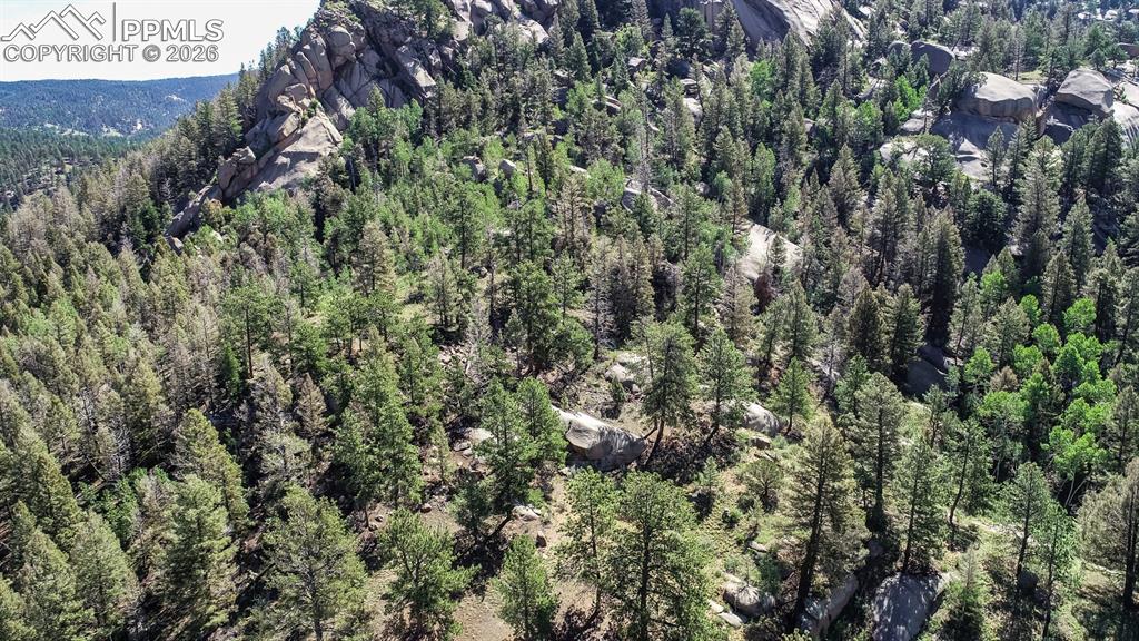235 Hay Creek Road Florissant CO 80816