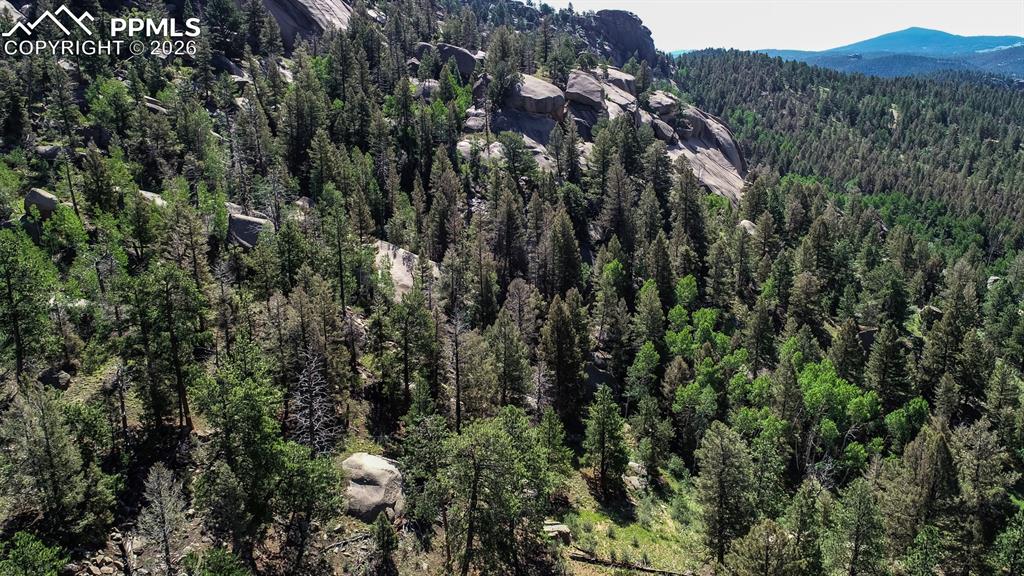 235 Hay Creek Road Florissant CO 80816