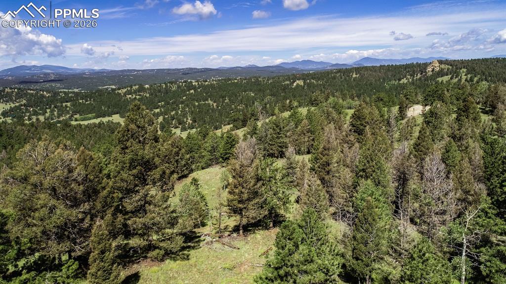 235 Hay Creek Road Florissant CO 80816