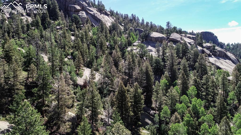 235 Hay Creek Road Florissant CO 80816