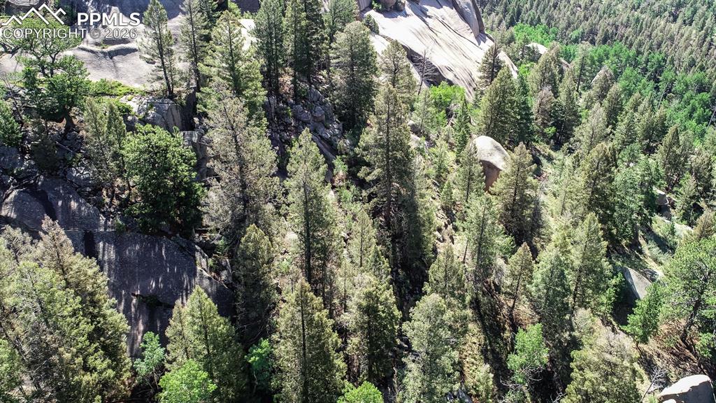 235 Hay Creek Road Florissant CO 80816