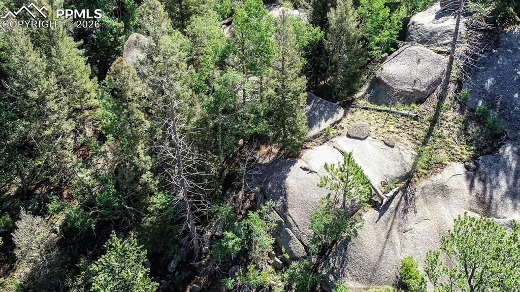 235 Hay Creek Road Florissant CO 80816