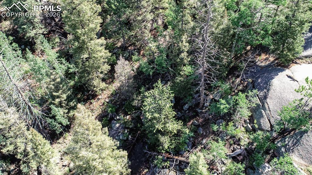 235 Hay Creek Road Florissant CO 80816
