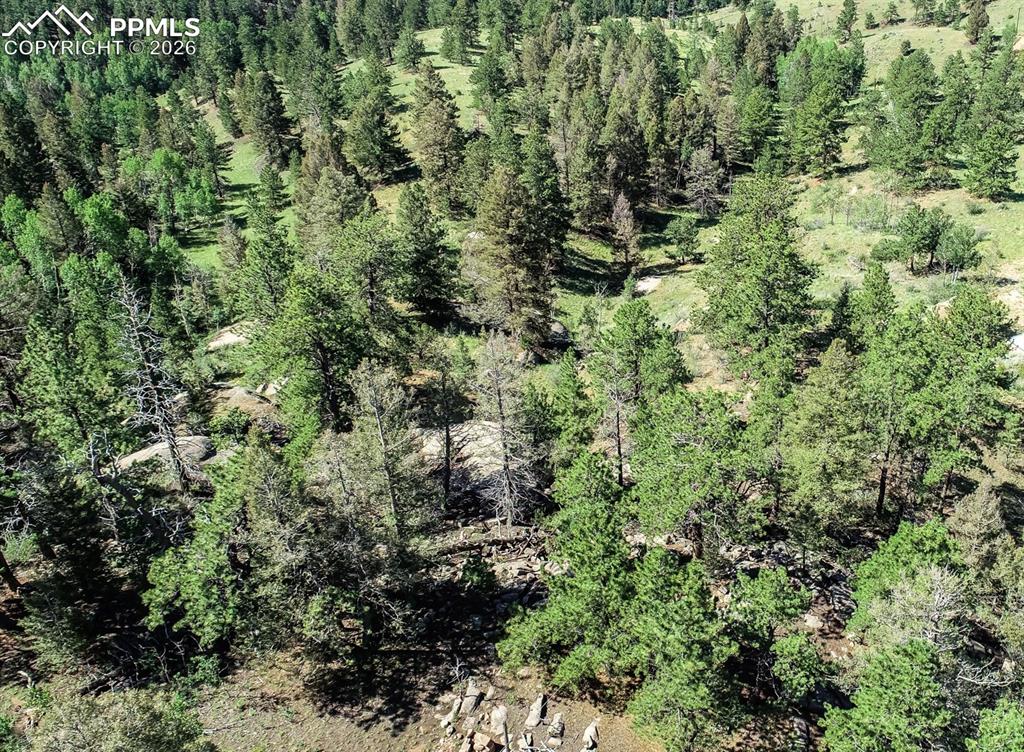 235 Hay Creek Road Florissant CO 80816
