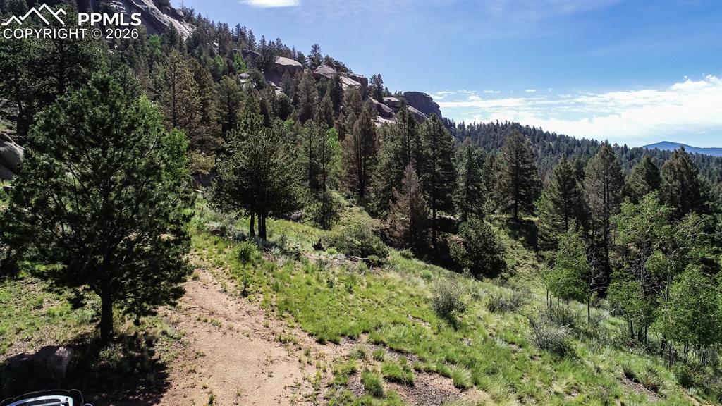 235 Hay Creek Road Florissant CO 80816