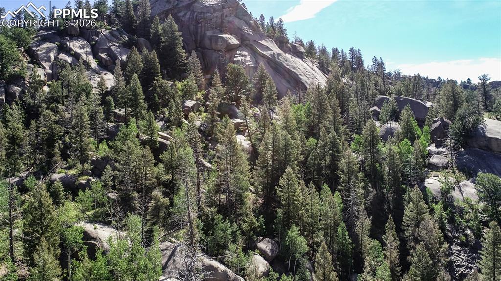 235 Hay Creek Road Florissant CO 80816