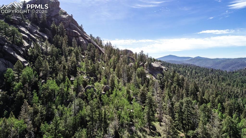 235 Hay Creek Road Florissant CO 80816